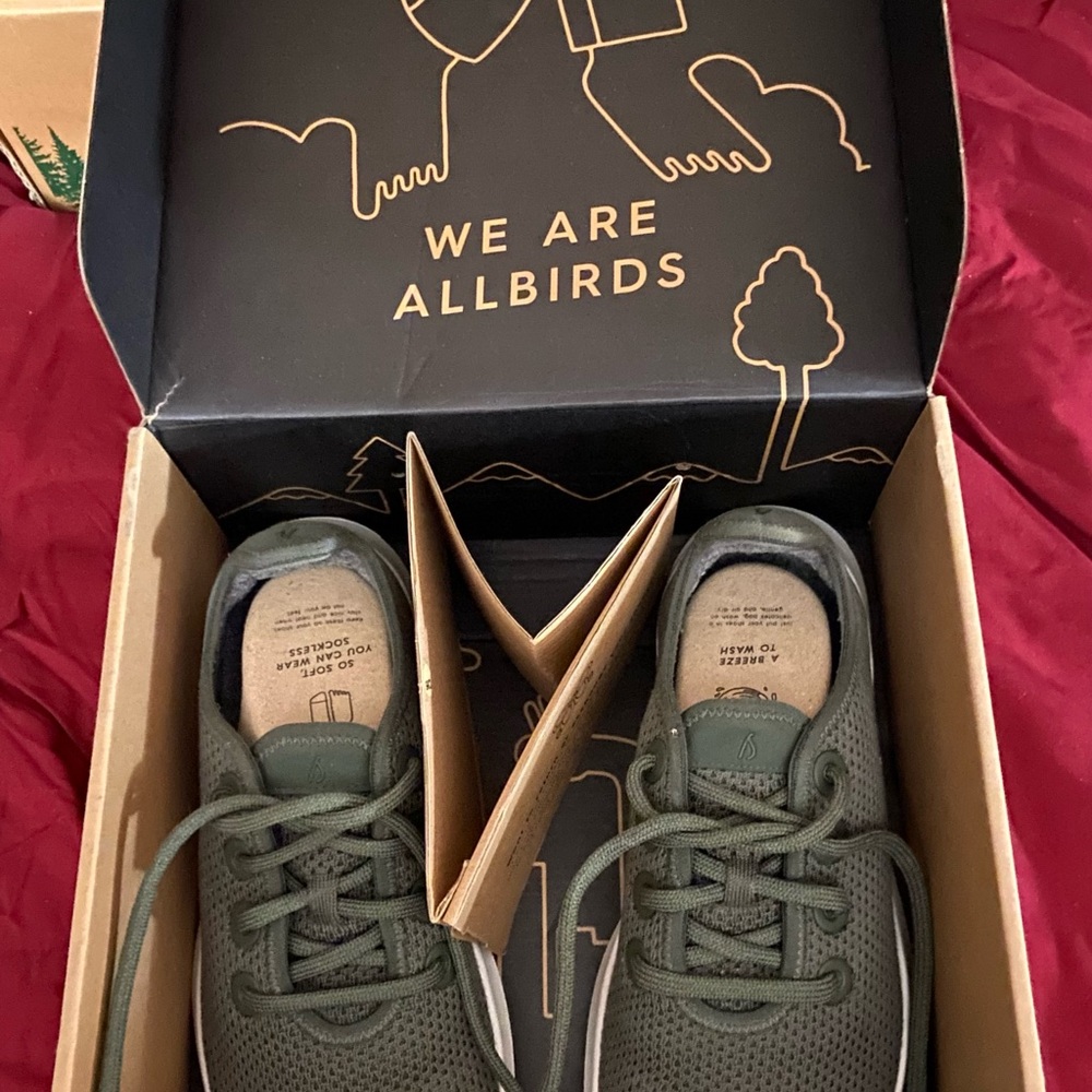 Allbirds Womens True Runner Sneakers.